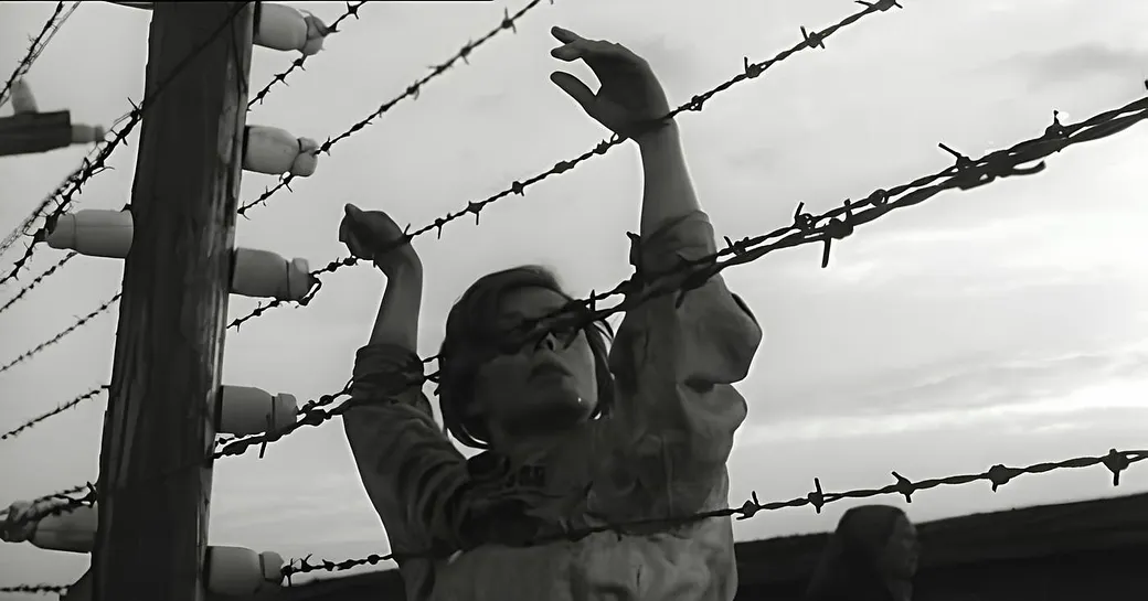 Los injuriados: tres ideas sobre la crítica de cine